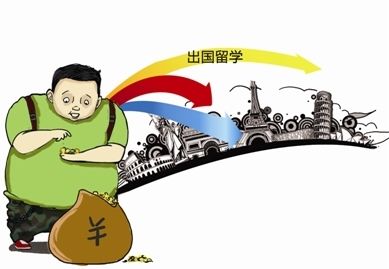 “八方面”看专科生和本科生的现实差距