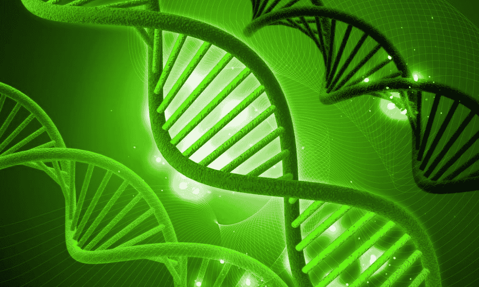 生物技术专业大学排名 2018最新排行榜