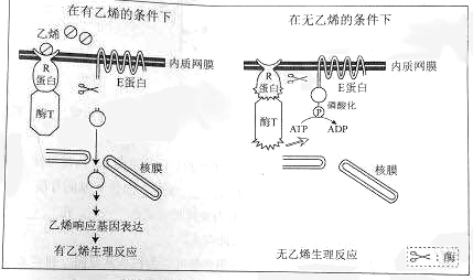 2019年高考理综压轴模拟试题（含答案）