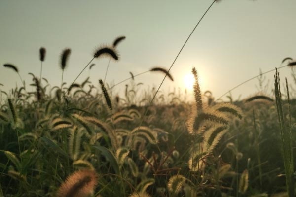 西南政法大学王牌专业有哪些