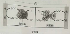 2019全国1卷高考理综试题【word精校版】