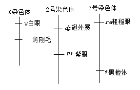 2019全国1卷高考理综试题【word精校版】