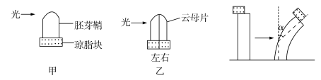 2019高考全国2卷理综试题及答案【word精校版】