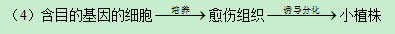 2019高考全国2卷理综试题及答案【word精校版】