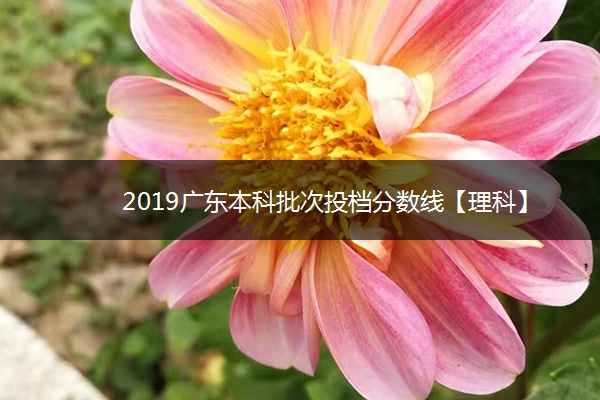 2019广东本科批次投档分数线【理科】