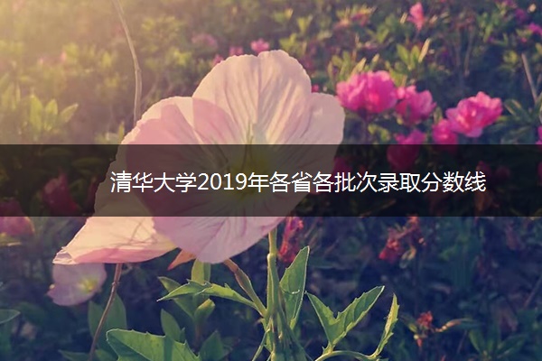 清华大学2019年各省各批次录取分数线