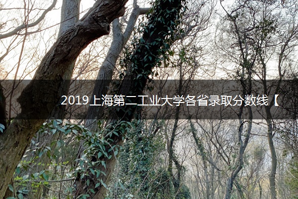 2019上海第二工业大学各省录取分数线【最新】