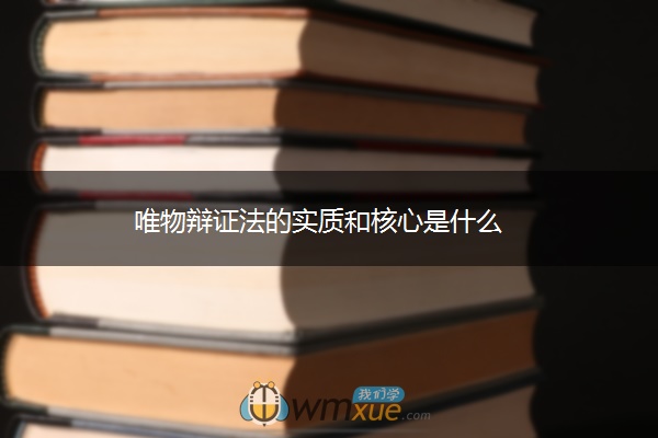 唯物辩证法的实质和核心是什么