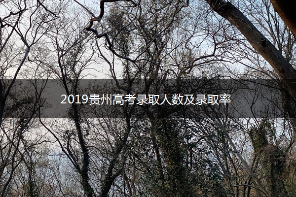 2019贵州高考录取人数及录取率