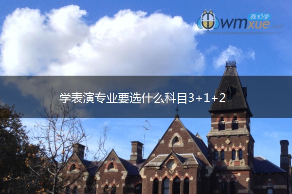 学表演专业要选什么科目3+1+2