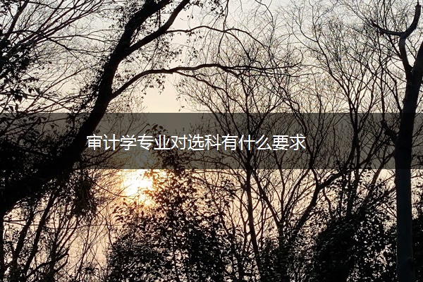 审计学专业对选科有什么要求