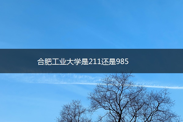 合肥工业大学是211还是985