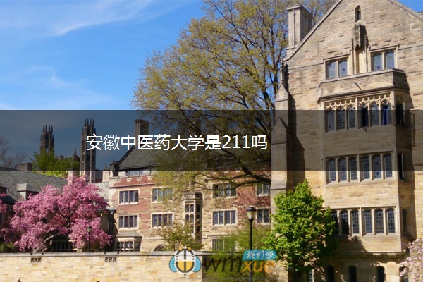 安徽中医药大学是211吗