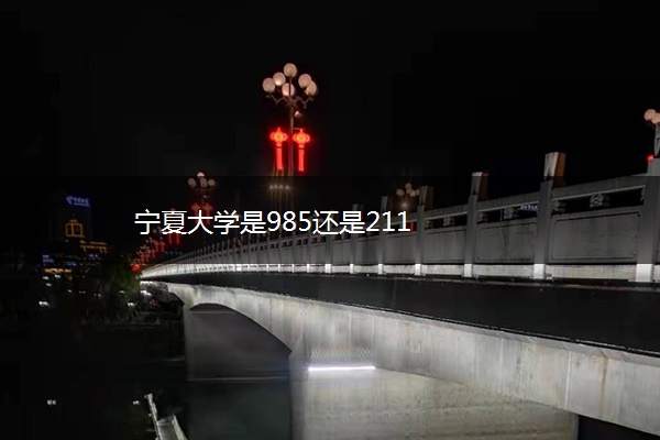 宁夏大学是985还是211