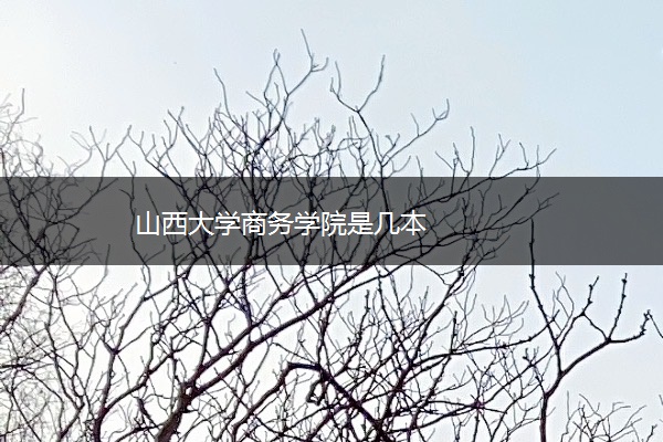 山西大学商务学院是几本