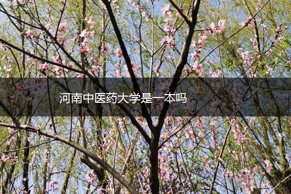 河南中医药大学是一本吗