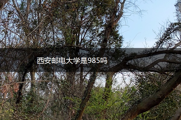 西安邮电大学是985吗