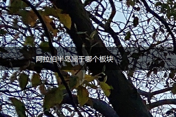 阿拉伯半岛属于哪个板块