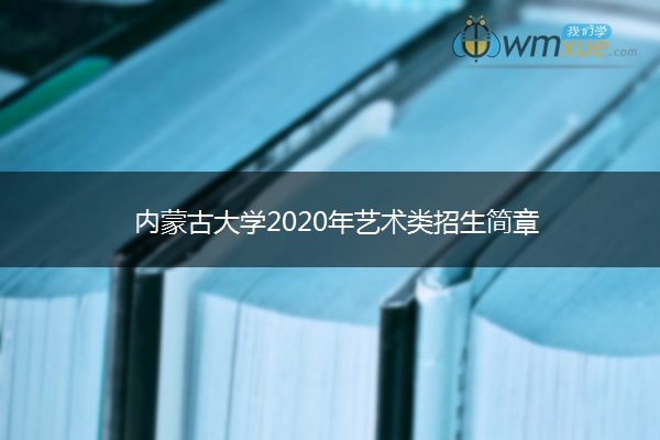 内蒙古大学2020年艺术类招生简章