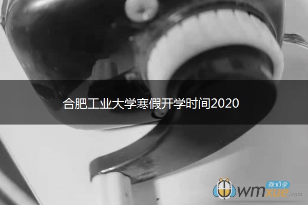 合肥工业大学寒假开学时间2020