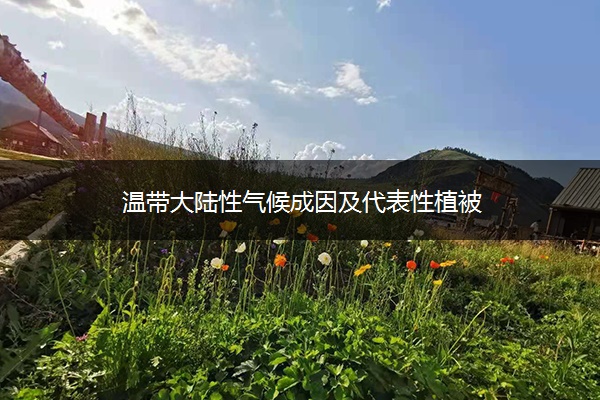 ​温带大陆性气候成因及代表性植被