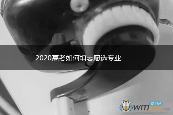 2020高考如何填志愿选专业