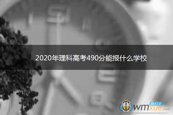 2020年理科高考490分能报什么学校