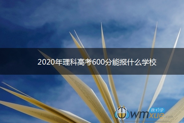 2020年理科高考600分能报什么学校