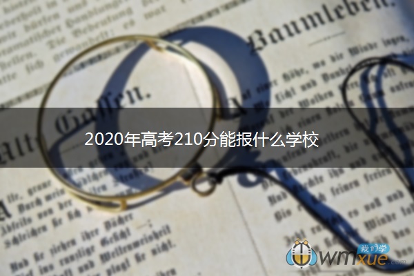 2020年高考210分能报什么学校