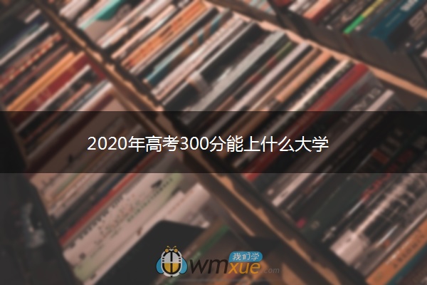 2020年高考300分能上什么大学