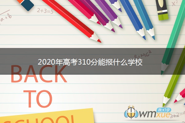 2020年高考310分能报什么学校