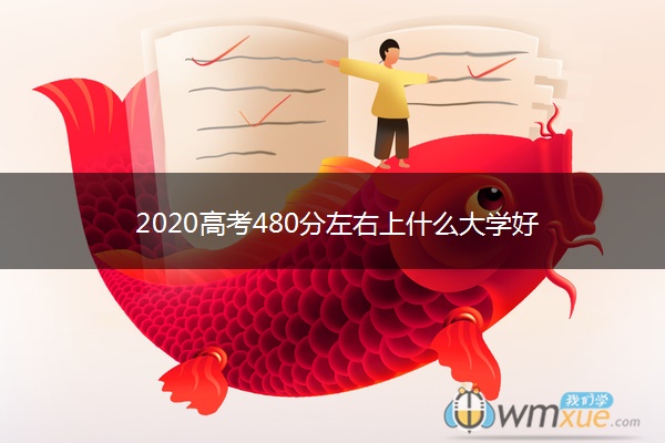 2020高考480分左右上什么大学好