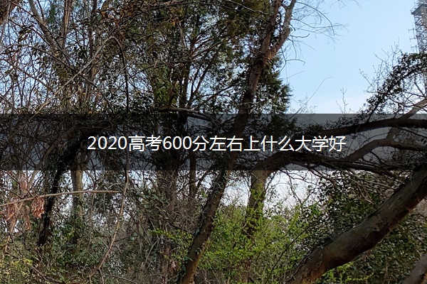 2020高考600分左右上什么大学好