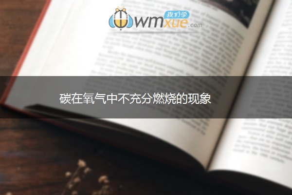 碳在氧气中不充分燃烧的现象