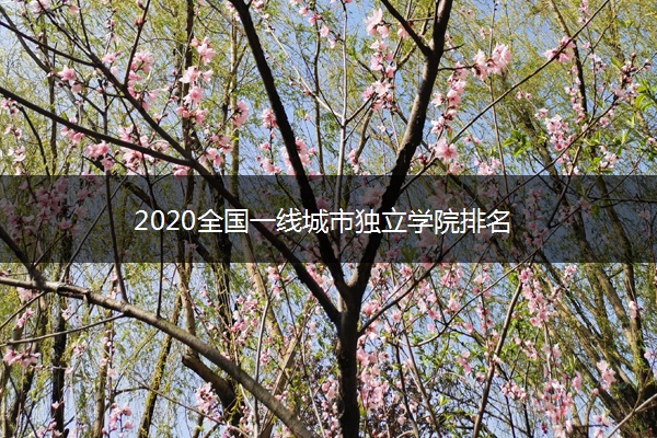 2020全国一线城市独立学院排名