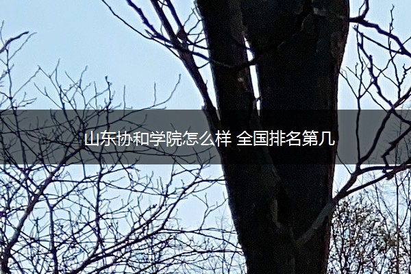 山东协和学院怎么样 全国排名第几