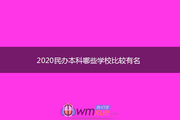 2020民办本科哪些学校比较有名