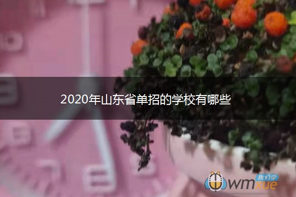 2020年山东省单招的学校有哪些