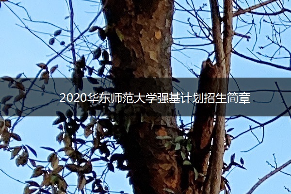 2020华东师范大学强基计划招生简章