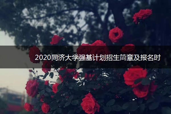 2020同济大学强基计划招生简章及报名时间