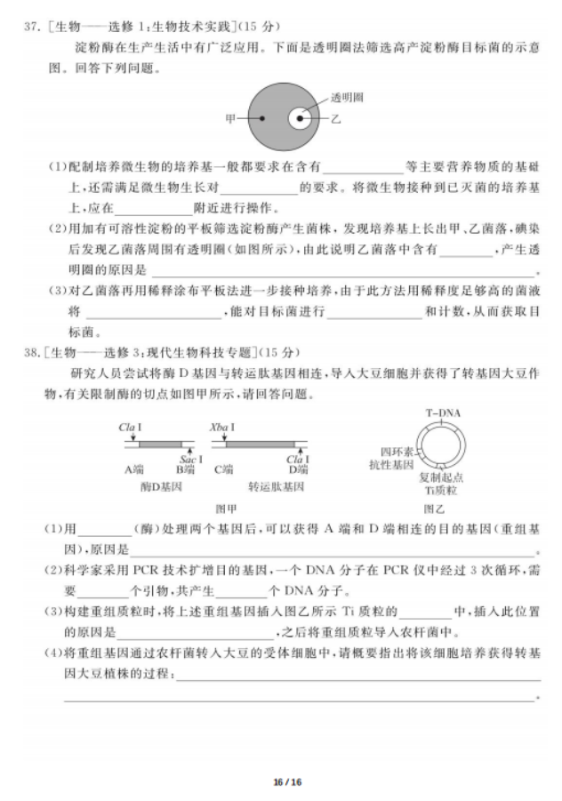 2020届广东高三理科综合第四次模拟试题