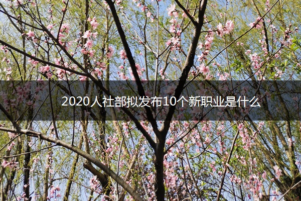 2020人社部拟发布10个新职业是什么 ​