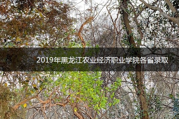 2019年黑龙江农业经济职业学院各省录取分数线