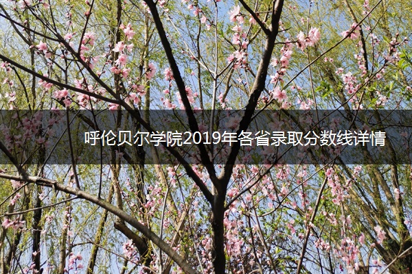 呼伦贝尔学院2019年各省录取分数线详情