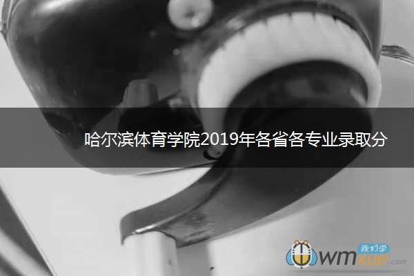 哈尔滨体育学院2019年各省各专业录取分数线