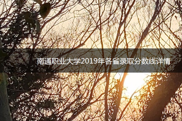 南通职业大学2019年各省录取分数线详情