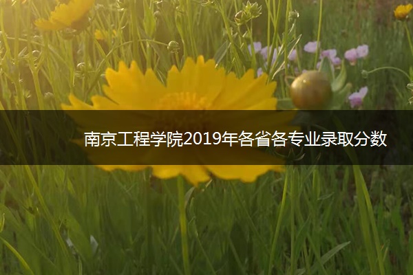 南京工程学院2019年各省各专业录取分数线