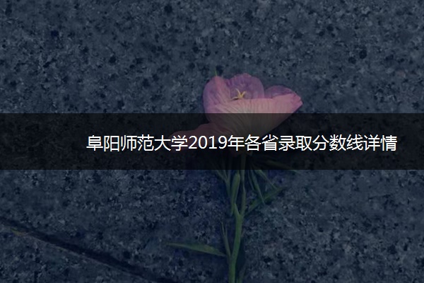 阜阳师范大学2019年各省录取分数线详情