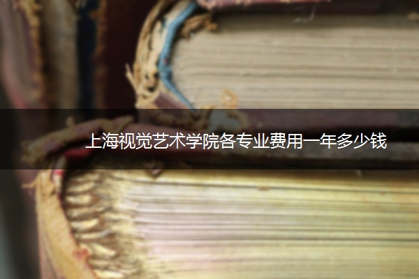 上海视觉艺术学院各专业费用一年多少钱