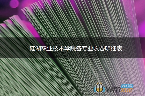 硅湖职业技术学院各专业收费明细表